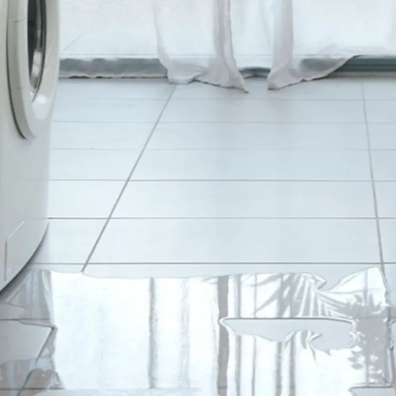 Appliance Leak Cleanup in Greenville, TX