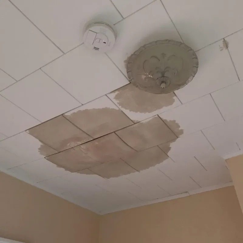 Ceiling Water Damage Repair in Greenville, TX