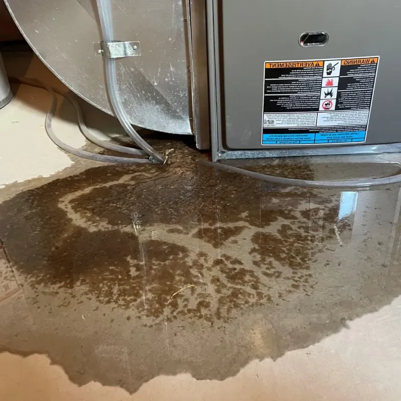 Pipe Burst and Leak Restoration in Greenville, TX
